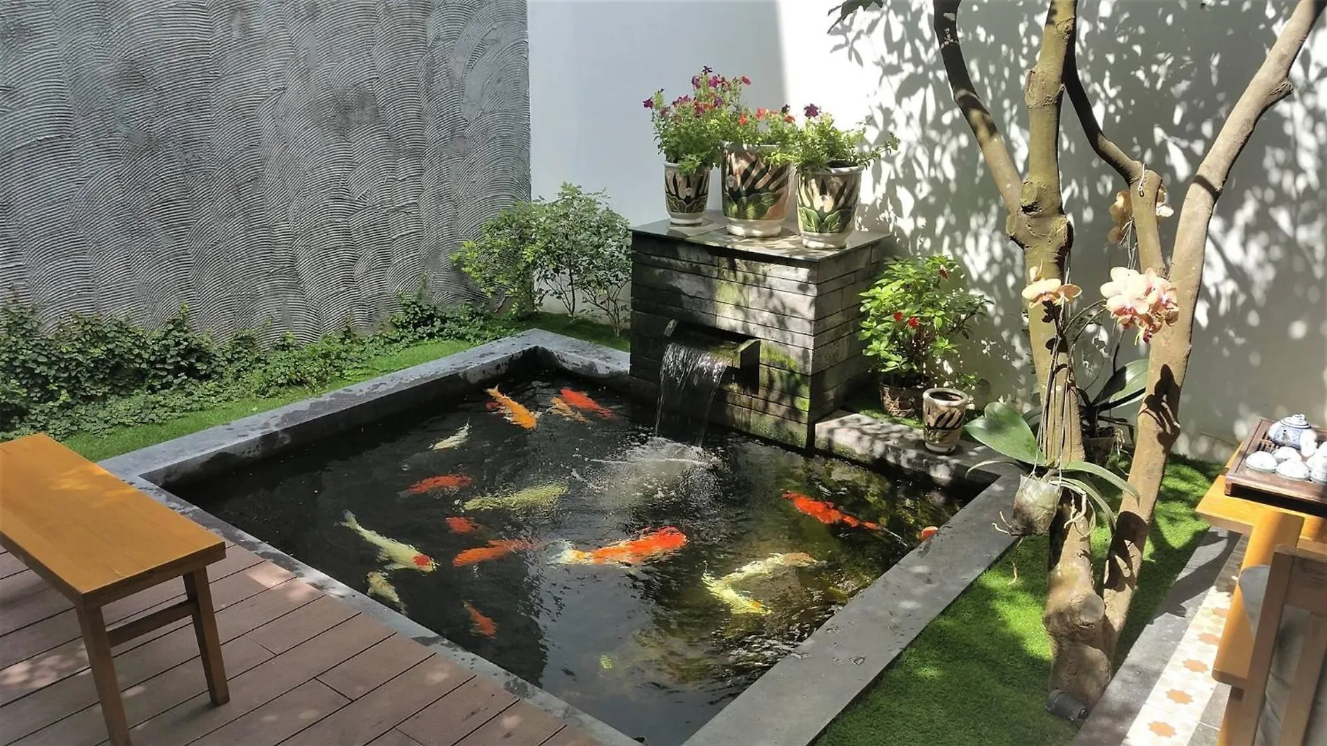 Hotel Carol House Da Nang Beach